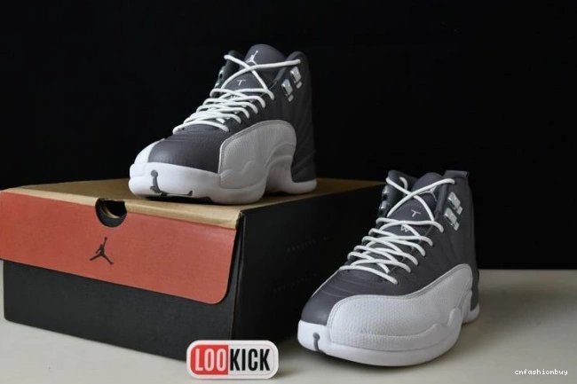 AIR CT8025-610 12 JORDAN STEALTH 0803